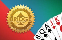 Play Bridge now!