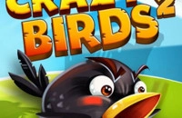 Play Crazy Birds Kart Hidden Stars now!