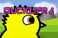 Play Ducklife 4 now!
