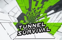 Play Tunnel Survival now!