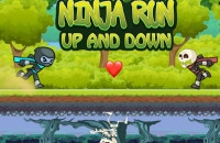 Play Ninja Run Up and Down now!